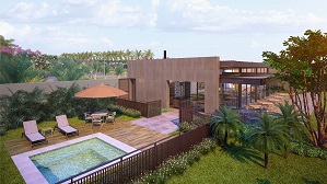 Perspectiva externa